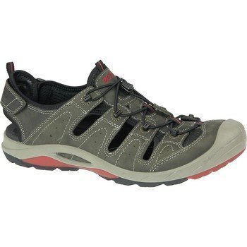 ecco biom delta
